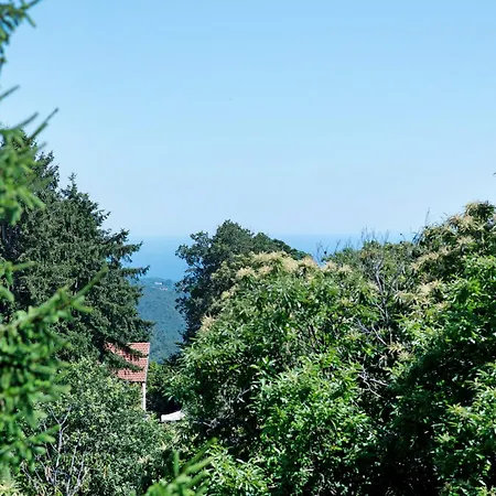 Apartment Ai Campi *